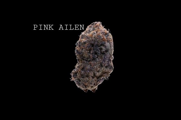 PINK ALIEN - ON SALE!!!