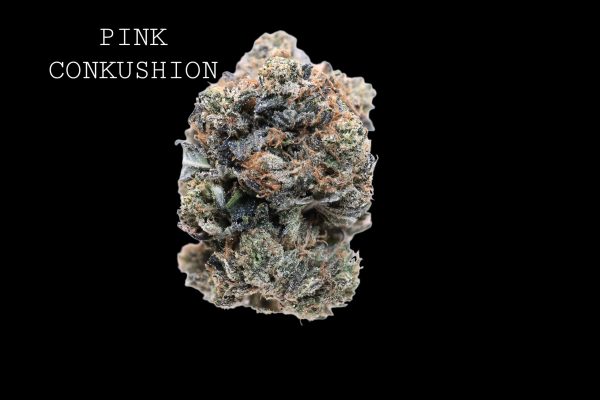 PINK CONKUSHION - ON SALE!!!