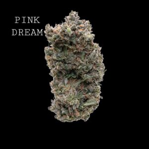 PINK DREAM