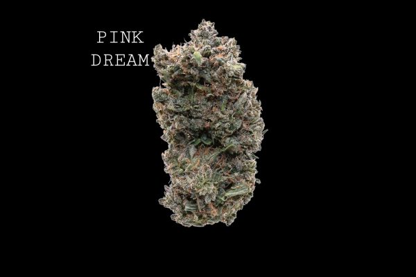 PINK DREAM