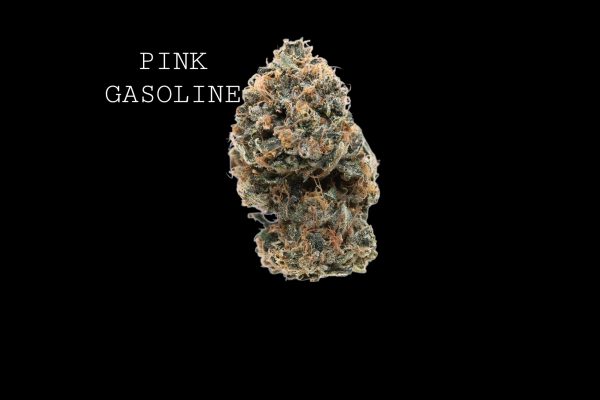 PINK GASOLINE