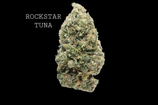 ROCKSTAR TUNA