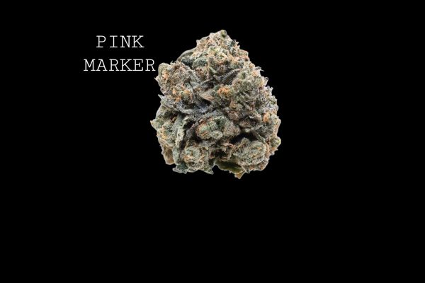 PINK MARKER - ON SALE!!!