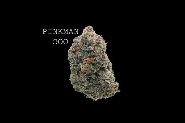 PINKMAN GOO