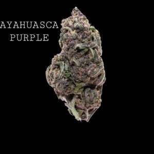 AYAHUASCA PURPLE - ON SALE!!!
