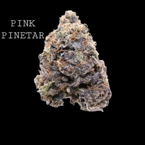 PINK PINETAR - ON SALE!!!