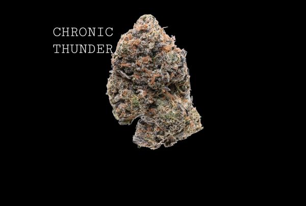 CHRONIC THUNDER - ON SALE!!!