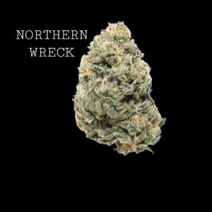 NORTHERN WRECK - ON SALE!!!