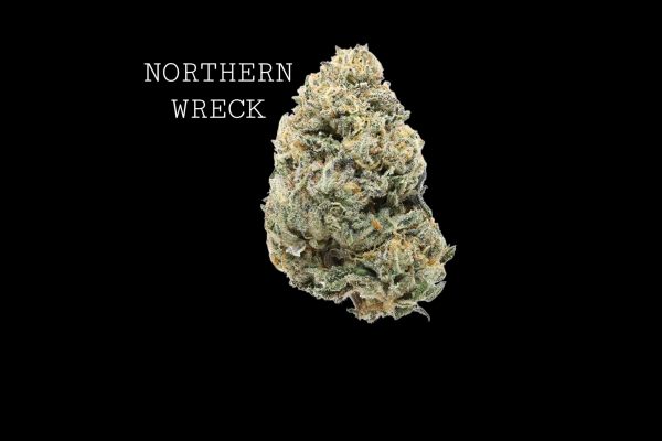 NORTHERN WRECK - ON SALE!!!
