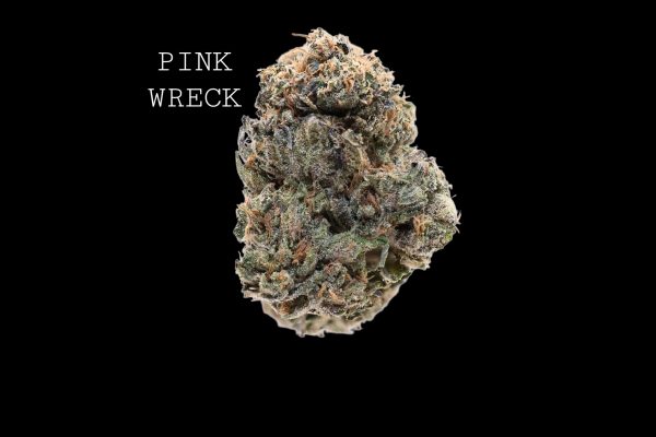 PINK WRECK - ON SALE!!!