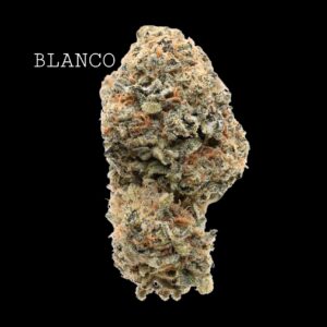 BLANCO - ON SALE!!!