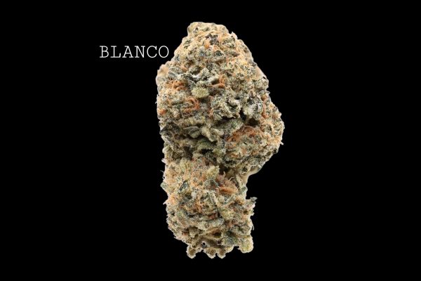 BLANCO - ON SALE!!!
