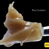 BULK JAR LIVE HASH ROSIN - BLUE GUSHER