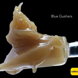 BULK JAR LIVE HASH ROSIN - BLUE GUSHER