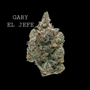 GARY EL JEFE