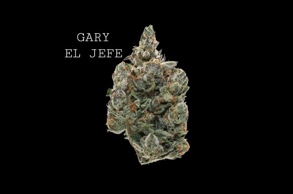 GARY EL JEFE