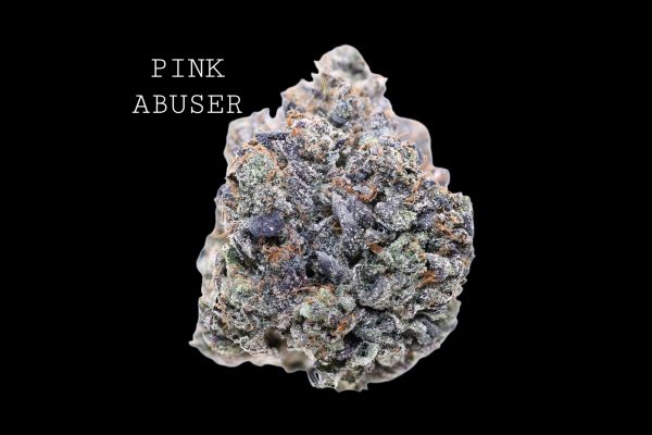 PINK ABUSER - ON SALE!!!