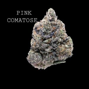 PINK COMATOSE - ON SALE!!!