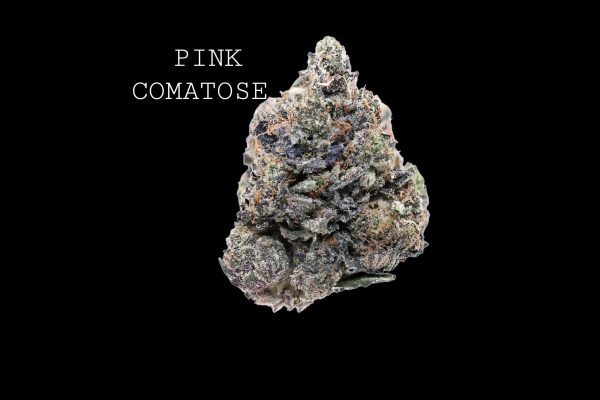 PINK COMATOSE - ON SALE!!!