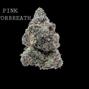 PINK MOTORBREATH - ON SALE!!!