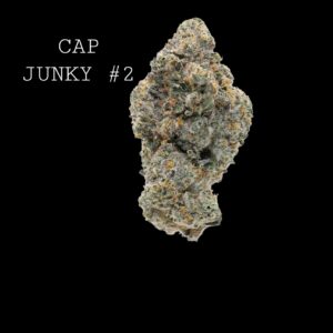 CAP JUNKY #2