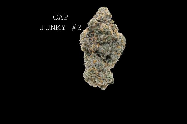 CAP JUNKY #2