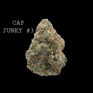 CAP JUNKY #3