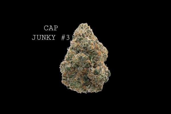 CAP JUNKY #3