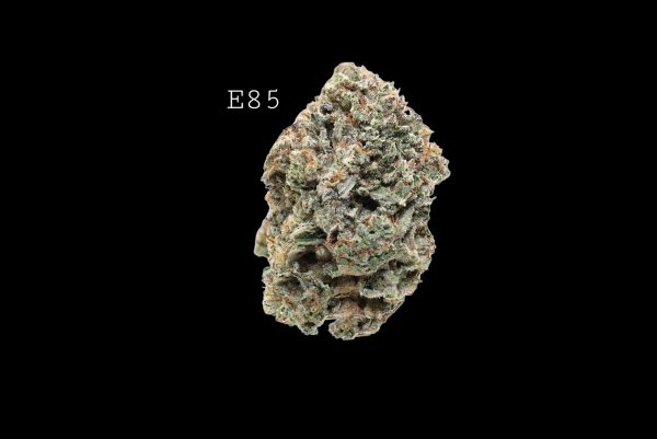 E85