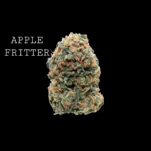 APPLE FRITTER