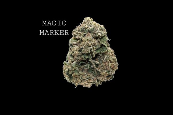MAGIC MARKER