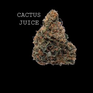 CACTUS JUICE
