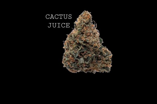 CACTUS JUICE