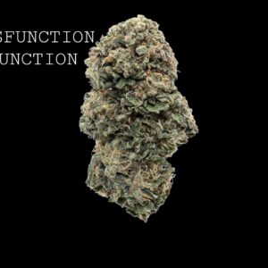 DYSFUNCTION JUNCTION