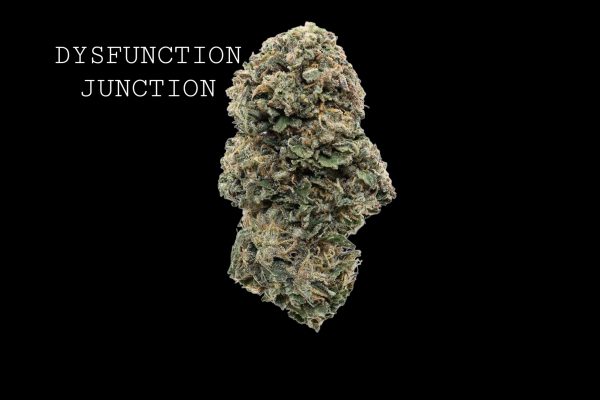 DYSFUNCTION JUNCTION