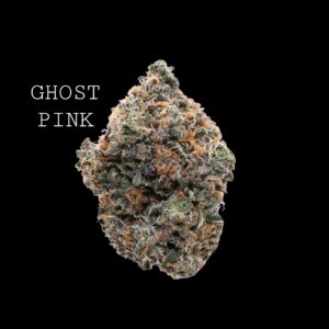 GHOST PINK