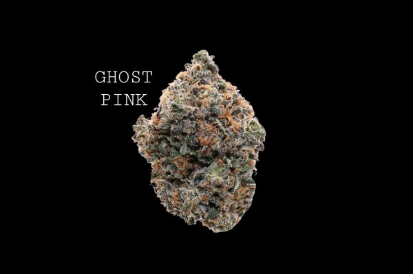 GHOST PINK