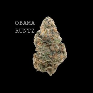 OBAMA RUNTZ