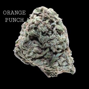 ORANGE PUNCH
