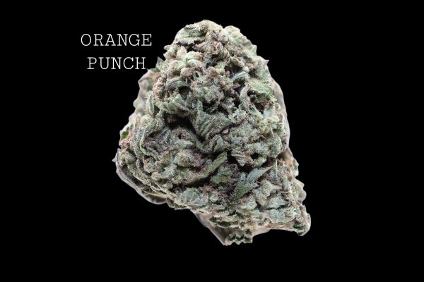 ORANGE PUNCH