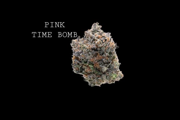 PINK TIME BOMB