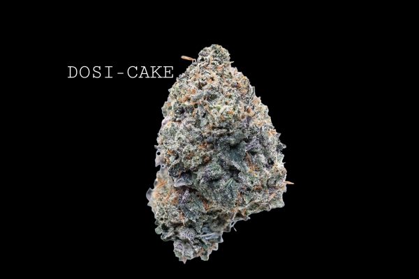 DOSI - CAKE
