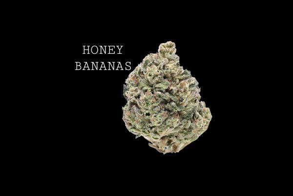 HONEY BANANAS