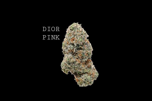 DIOR PINK LSO