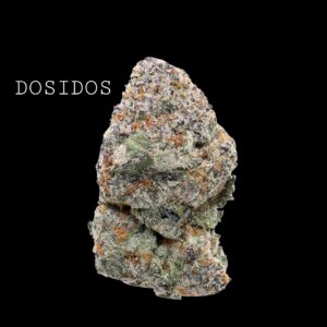 DOSIDOS