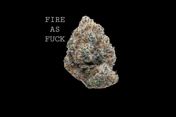 fireas as af (1) FIRE AS FUCK