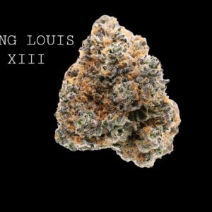 KING LOUIS XIII
