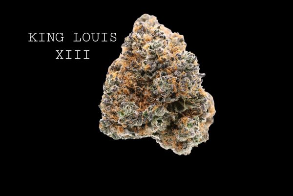KING LOUIS XIII