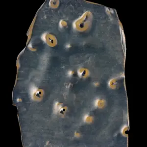 BALLER SLAB SHATTER – MILK BUBBLES (5grams)