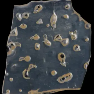 BALLER SLAB SHATTER – SOUR APPLE (5grams)